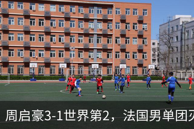 周启豪3-1世界第2，法国男单团灭，8强出炉国乒3席俄德韩巴各1席