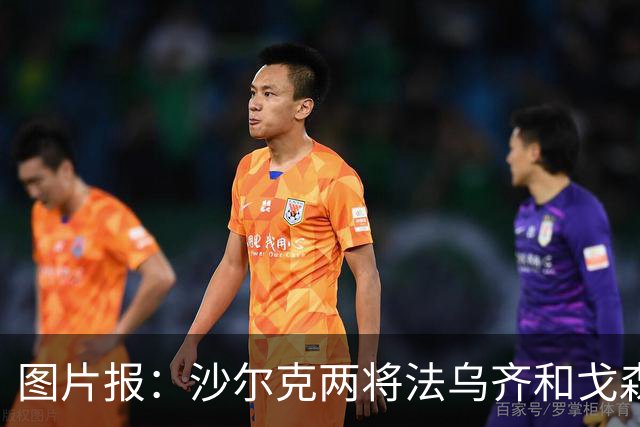 图片报：沙尔克两将法乌齐&戈森斯严重撞伤，将缺席杯赛
