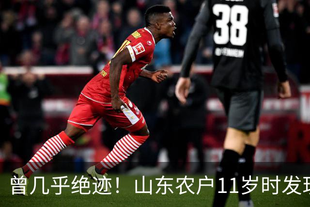 曾几乎绝迹！山东农户11岁时发现1棵幼苗，花34年令它走出绝境