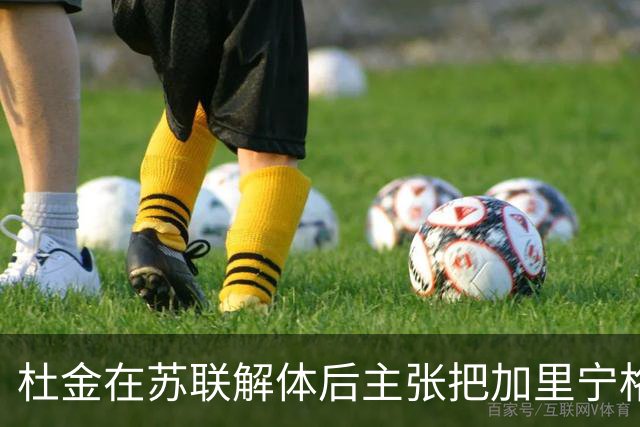 杜金在苏联解体后主张把加里宁格勒交还德国、把北方四岛交还日本。