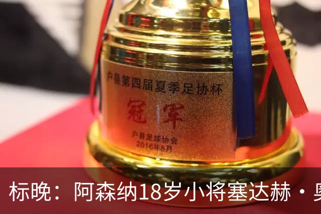 标晚：阿森纳18岁小将塞达赫·奥尼尔有望在联赛杯中完成首秀