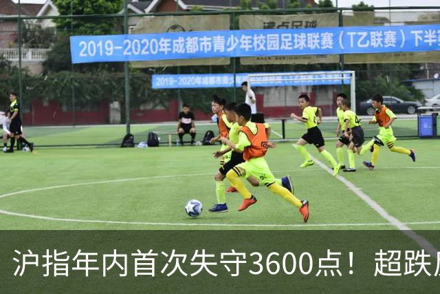 沪指年内首次失守3600点！超跌反弹会在下周出现吗？