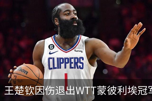 王楚钦因伤退出WTT蒙彼利埃冠军赛