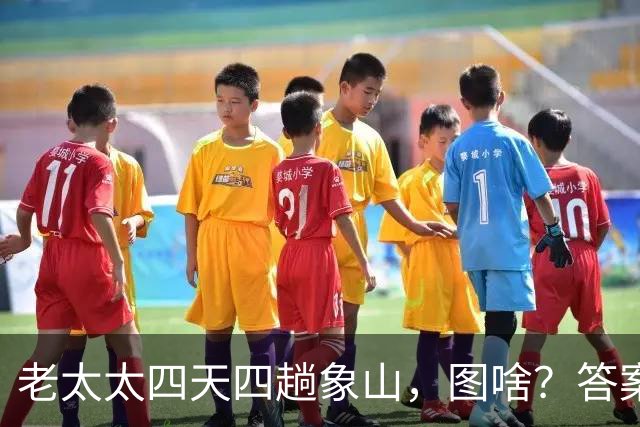 老太太四天四趟象山，图啥？答案让无数年轻人沉默了