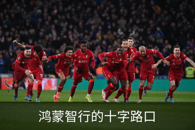 鸿蒙智行的十字路口